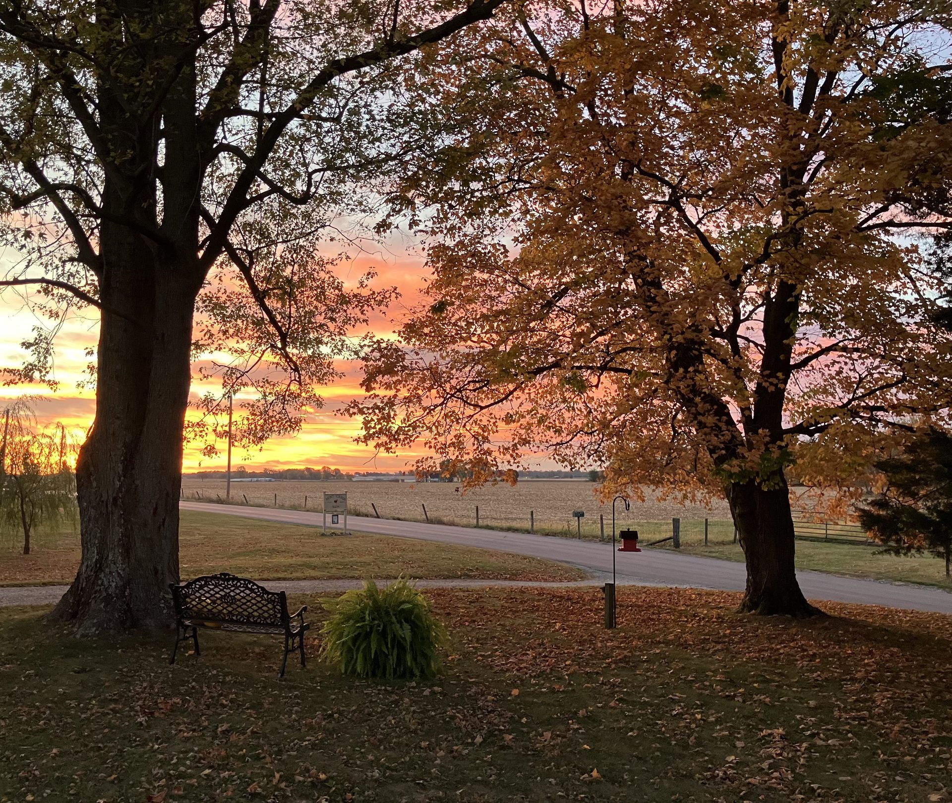 Farm photo 1