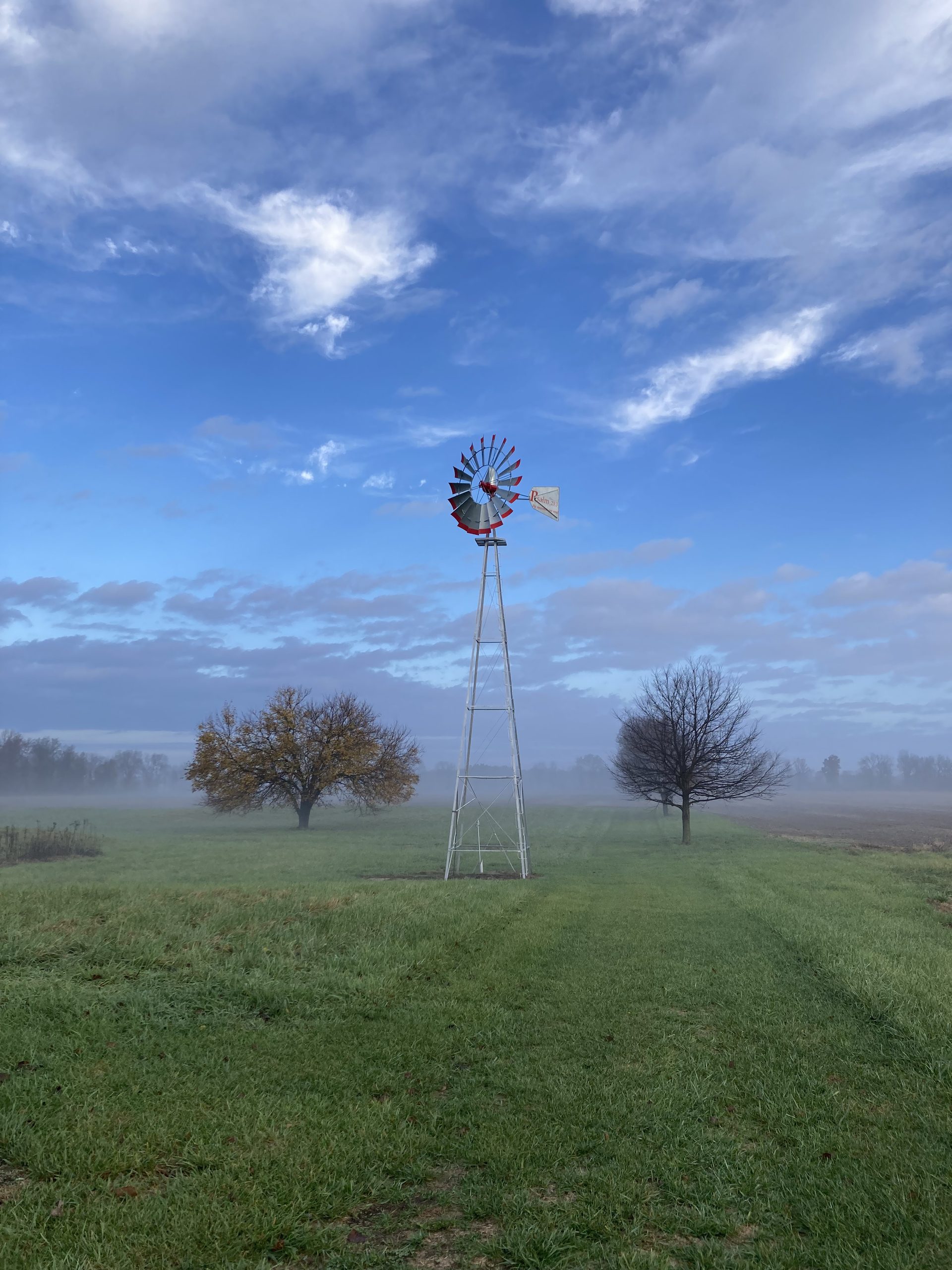 Farm photo 12