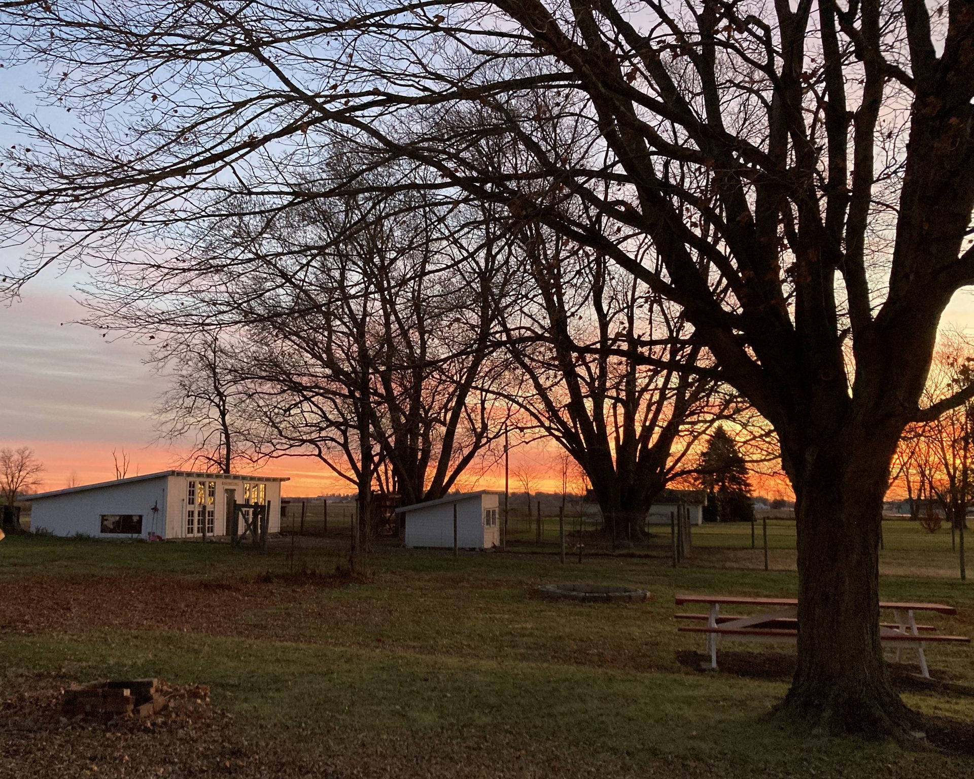 Farm photo 15