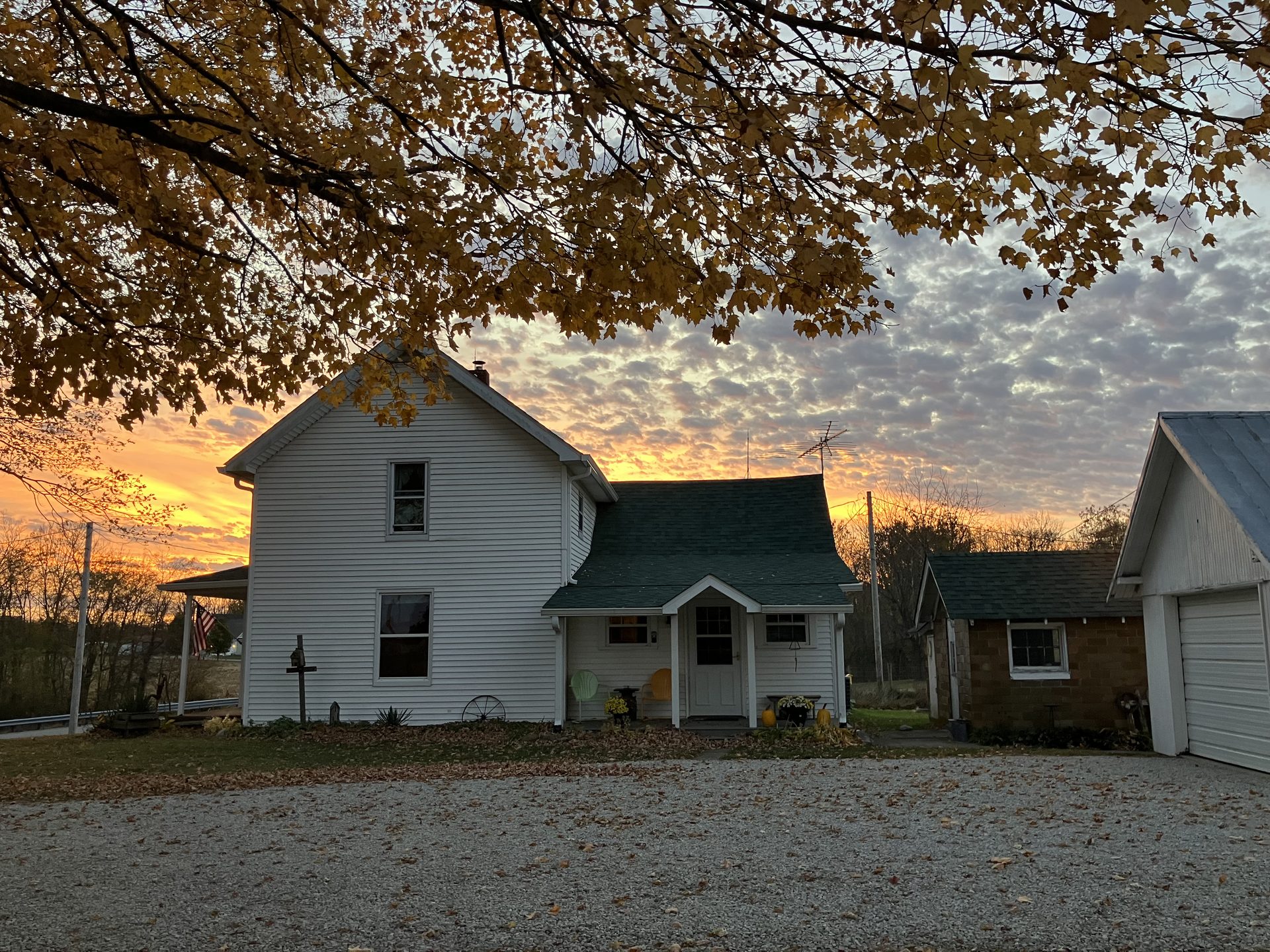 Farm photo 2
