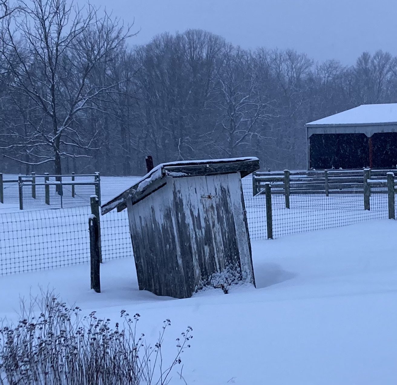 Farm photo 21