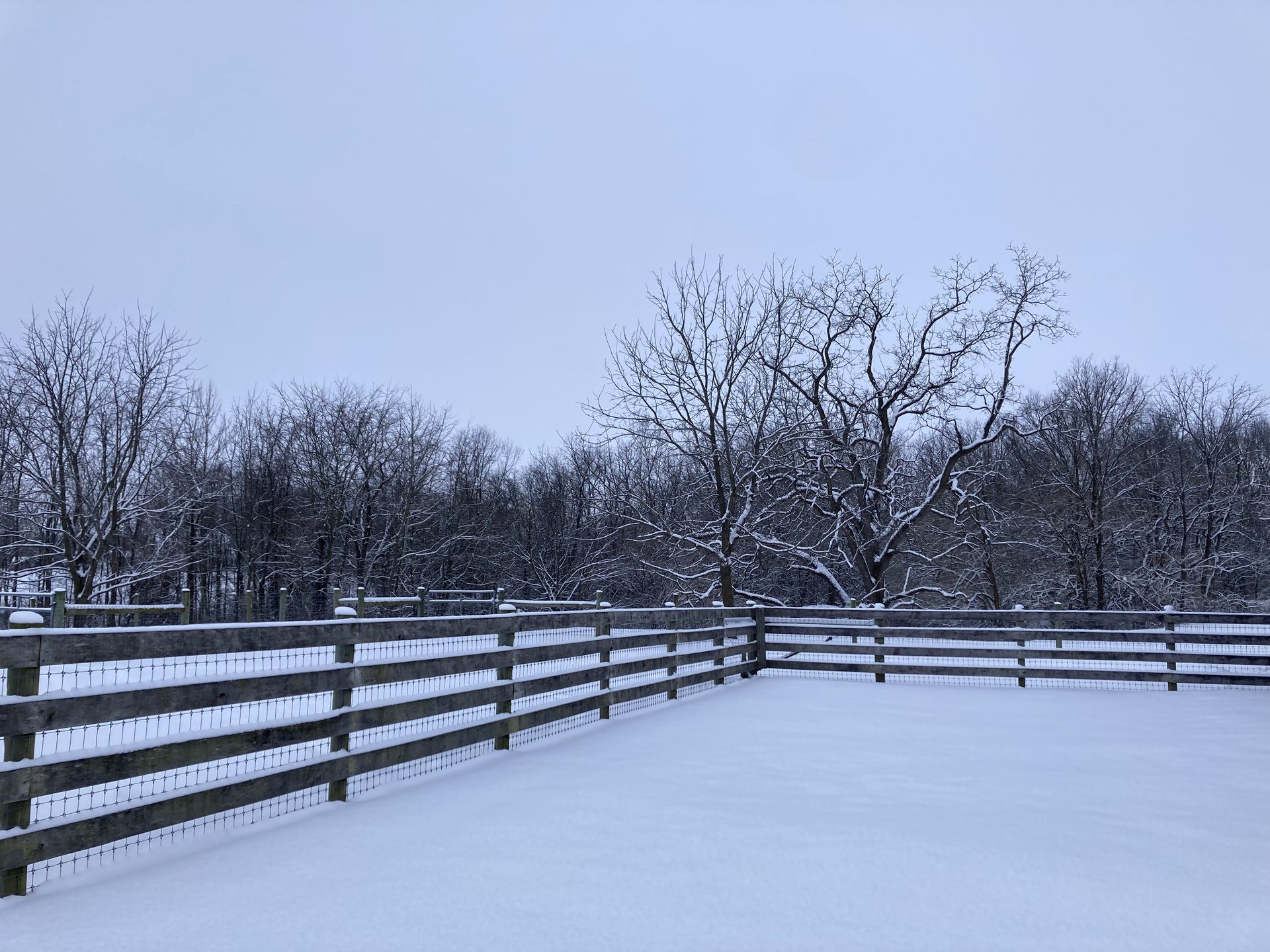 Farm photo 22
