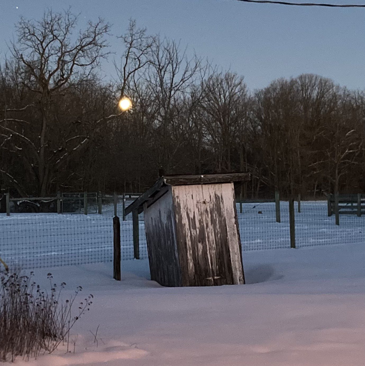 Farm photo 23