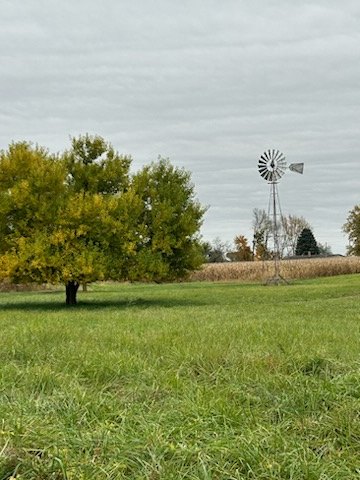 Farm photo 25