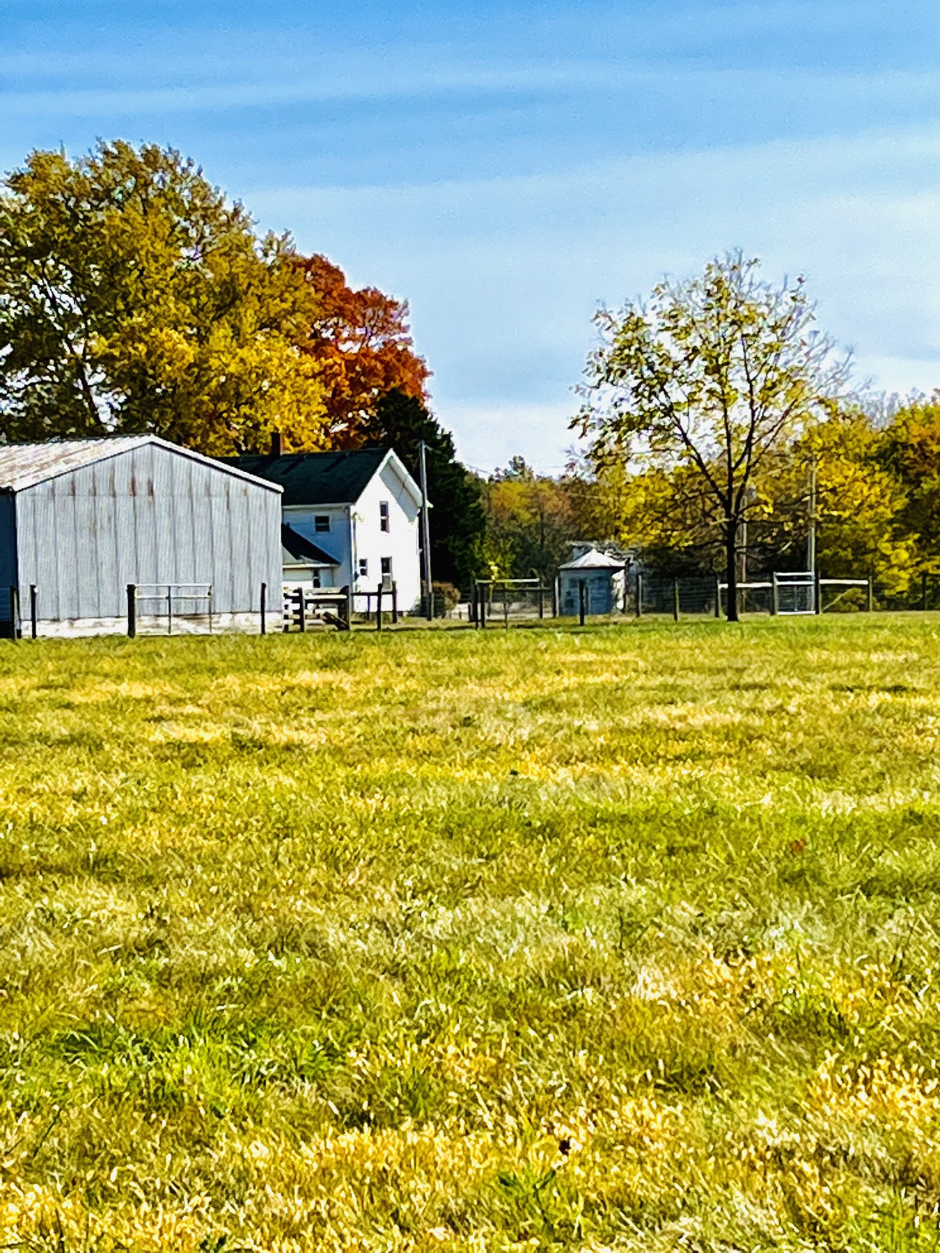 Farm photo 26