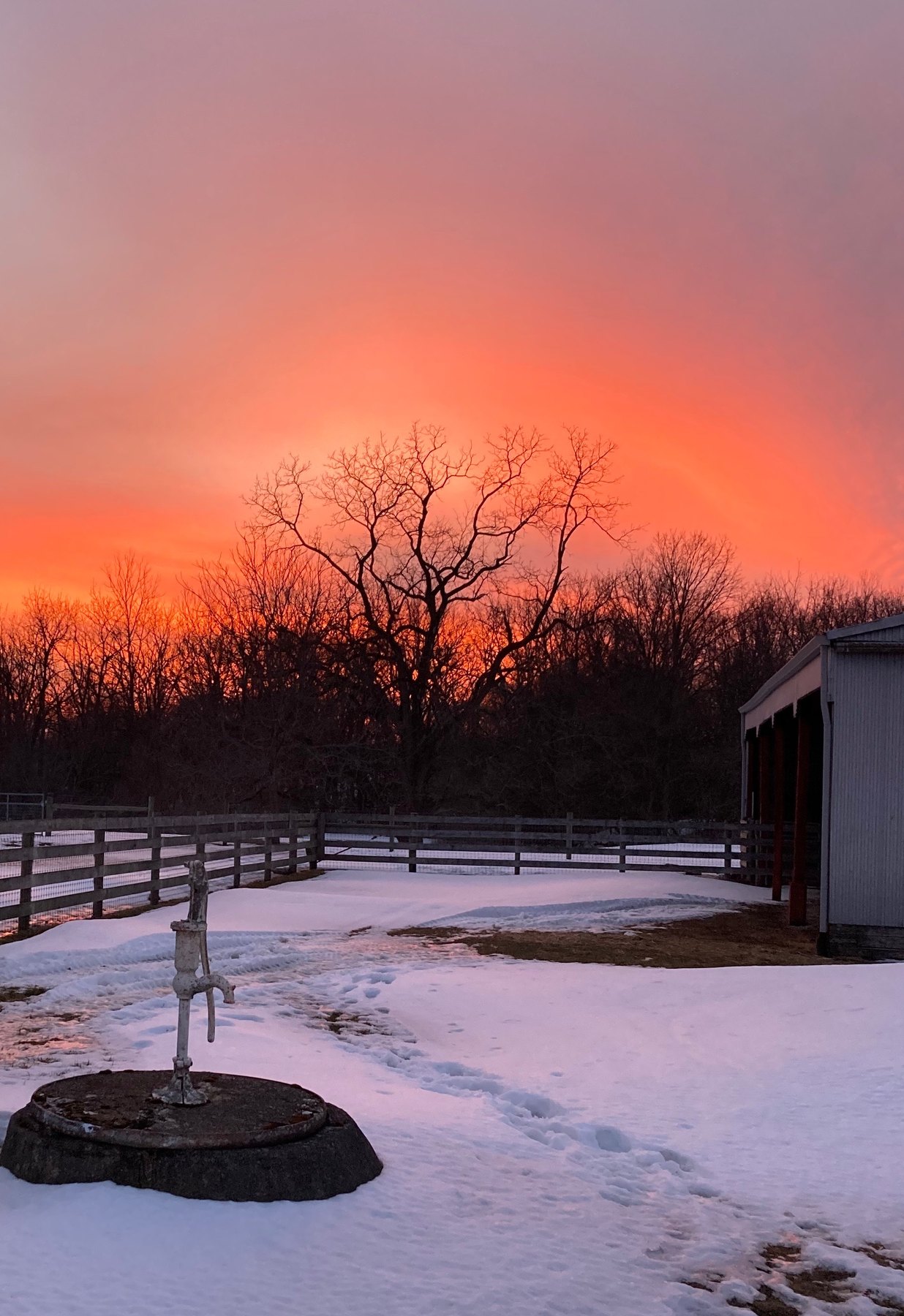 Farm photo 27