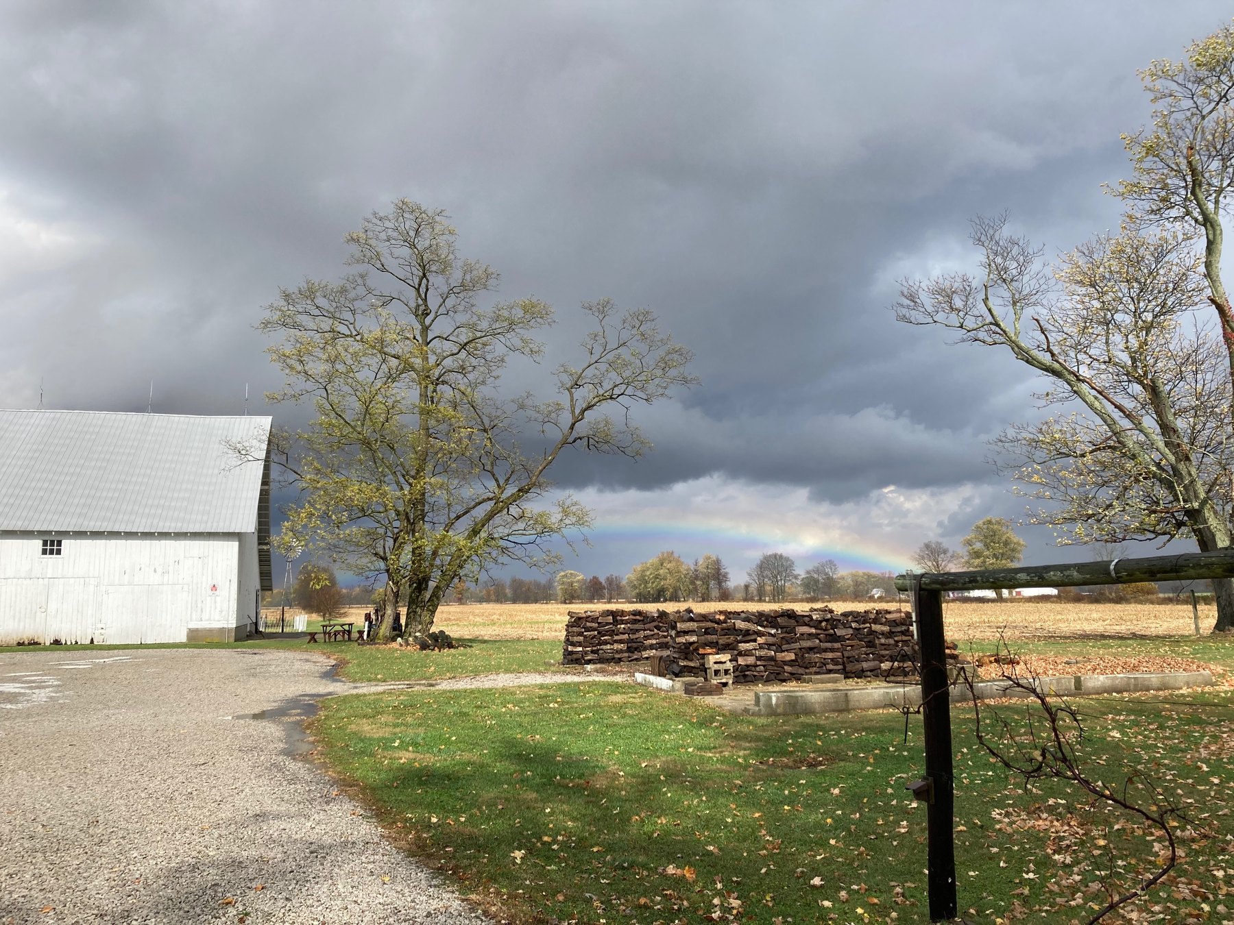 Farm photo 29
