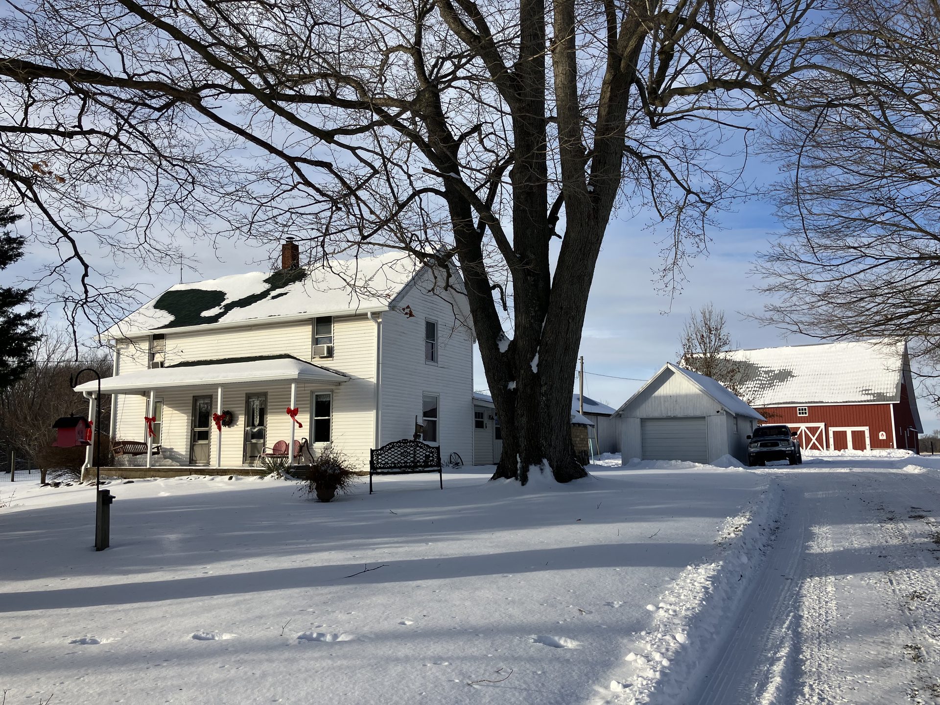 Farm photo 3