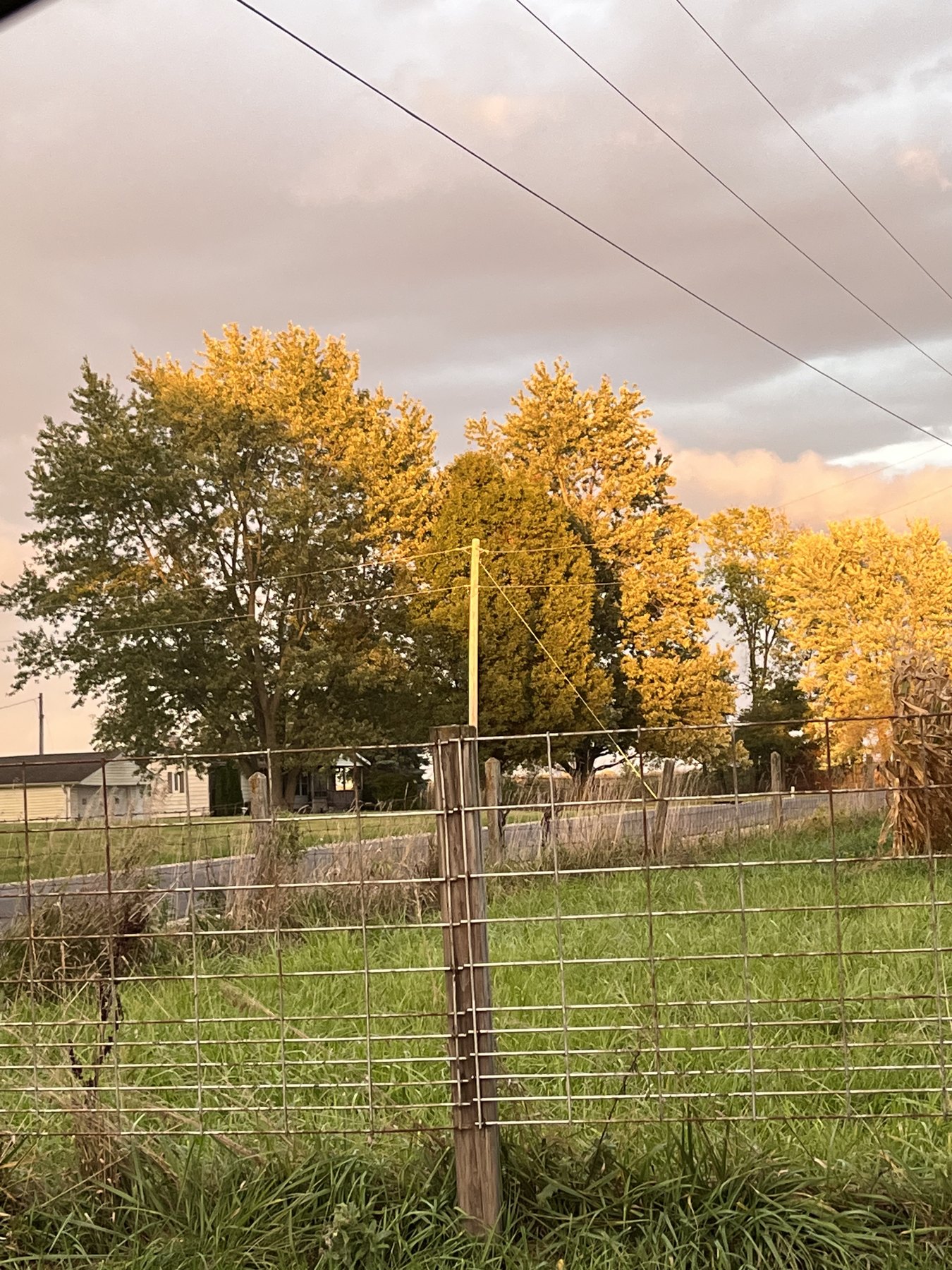 Farm photo 30