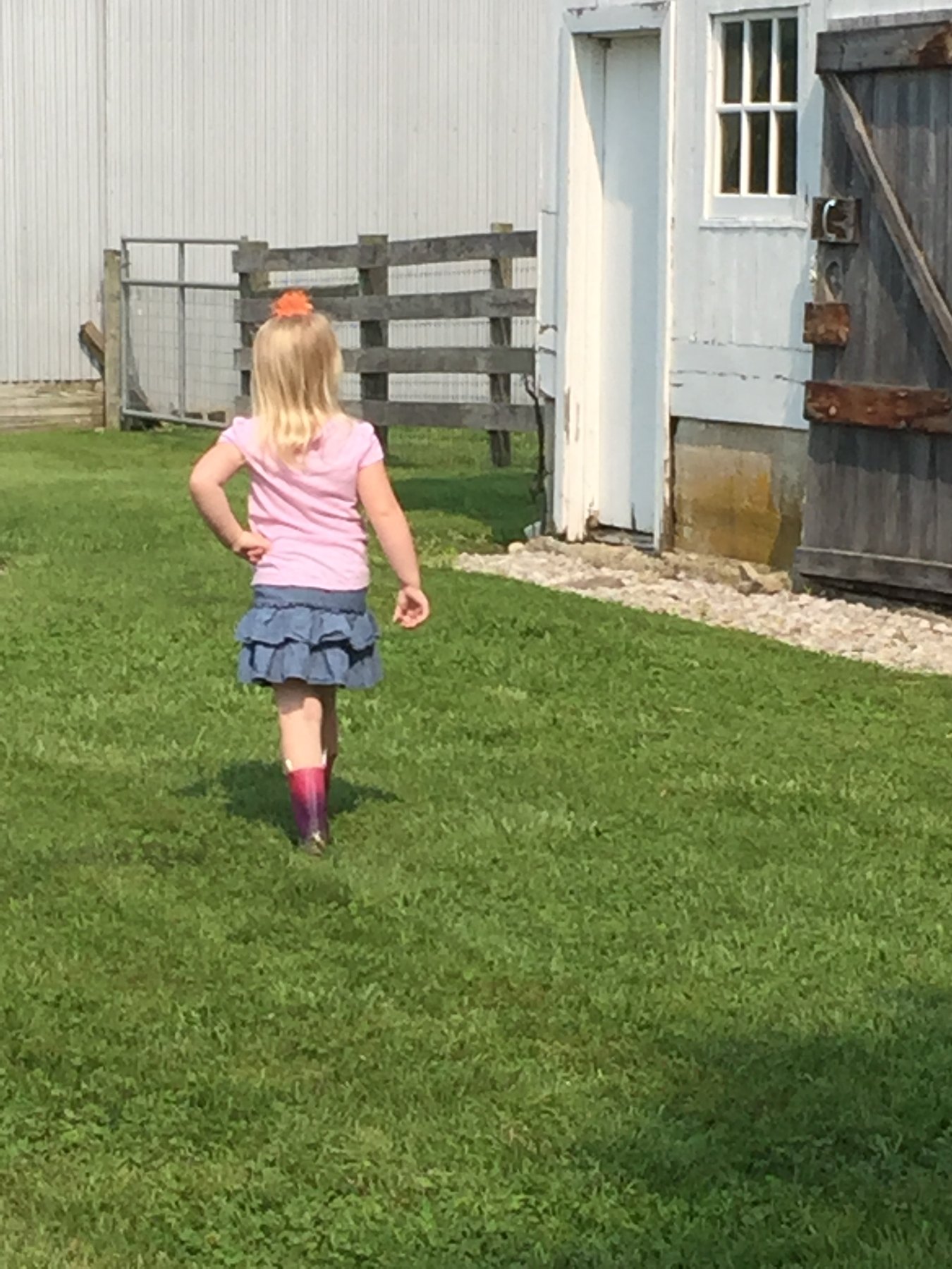 Farm photo 32