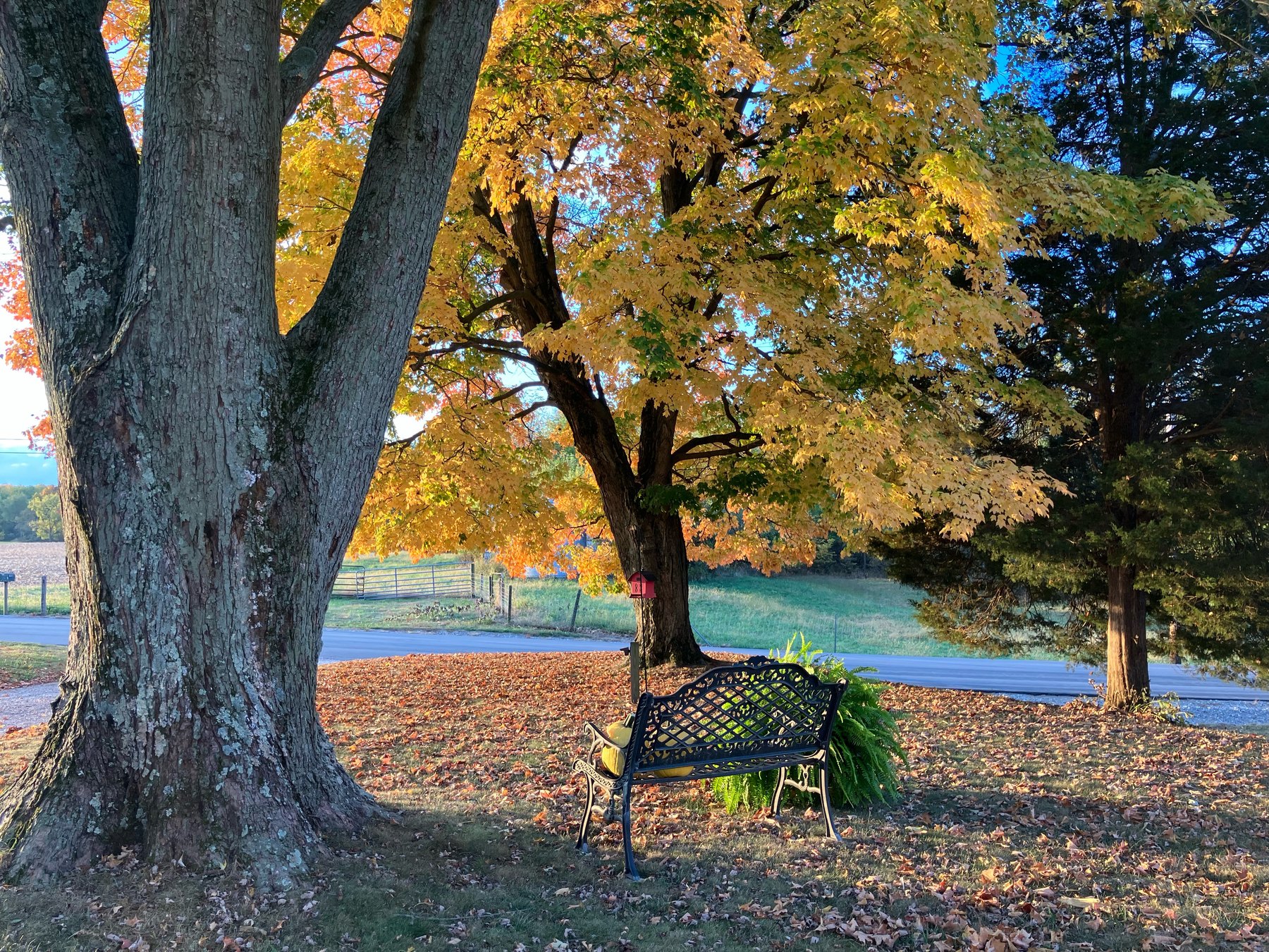 Farm photo 33