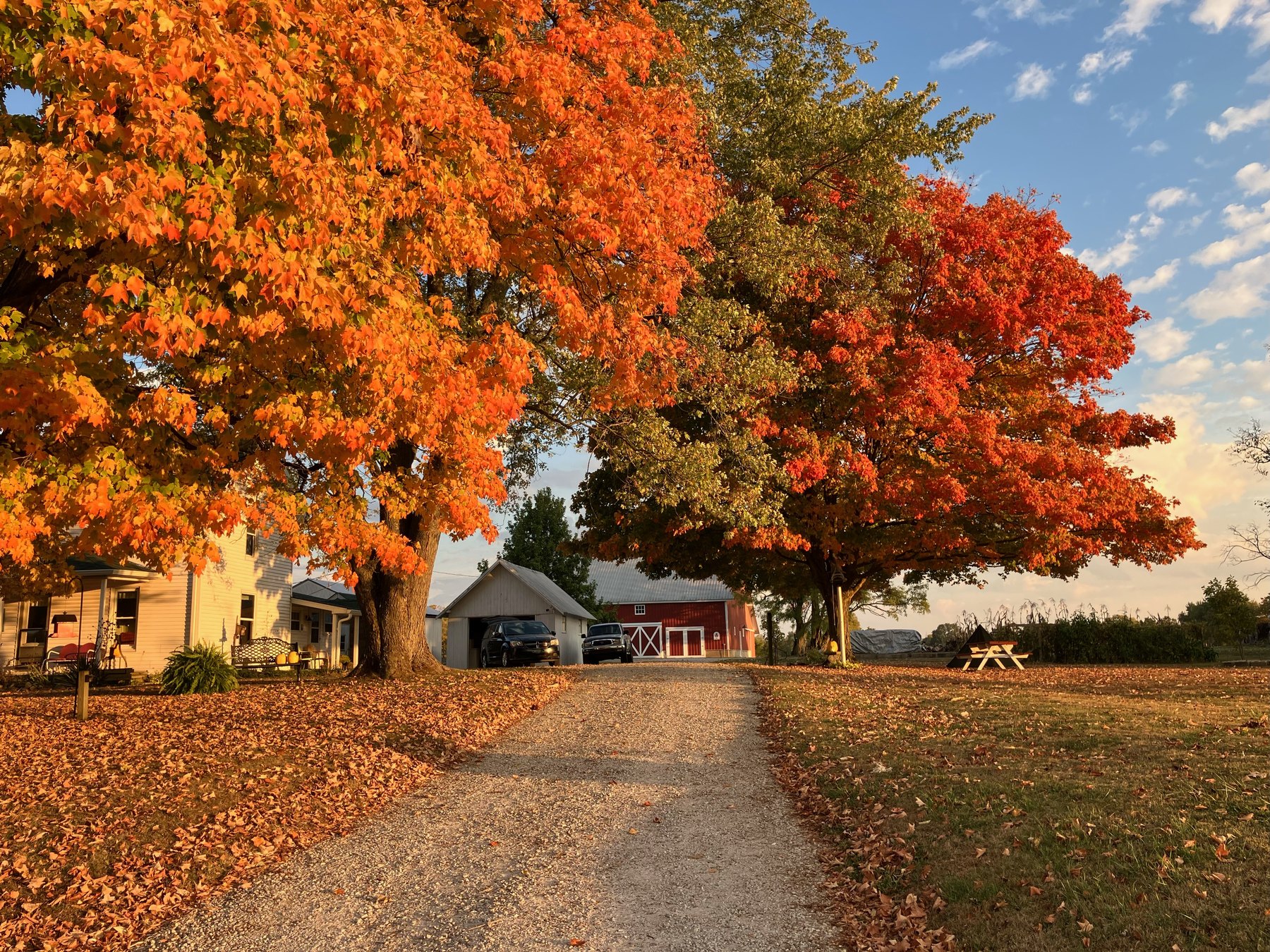 Farm photo 34