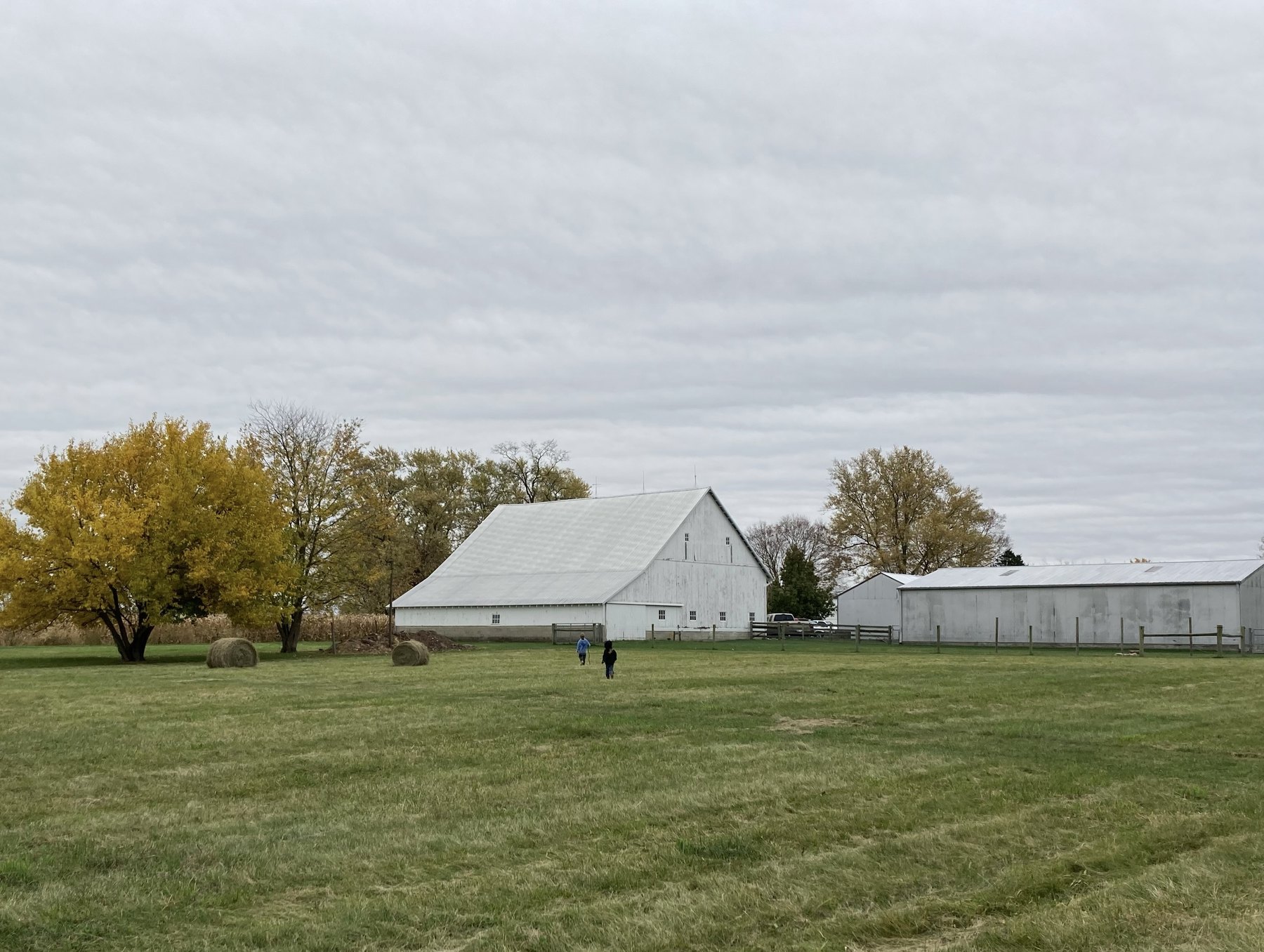 Farm photo 38