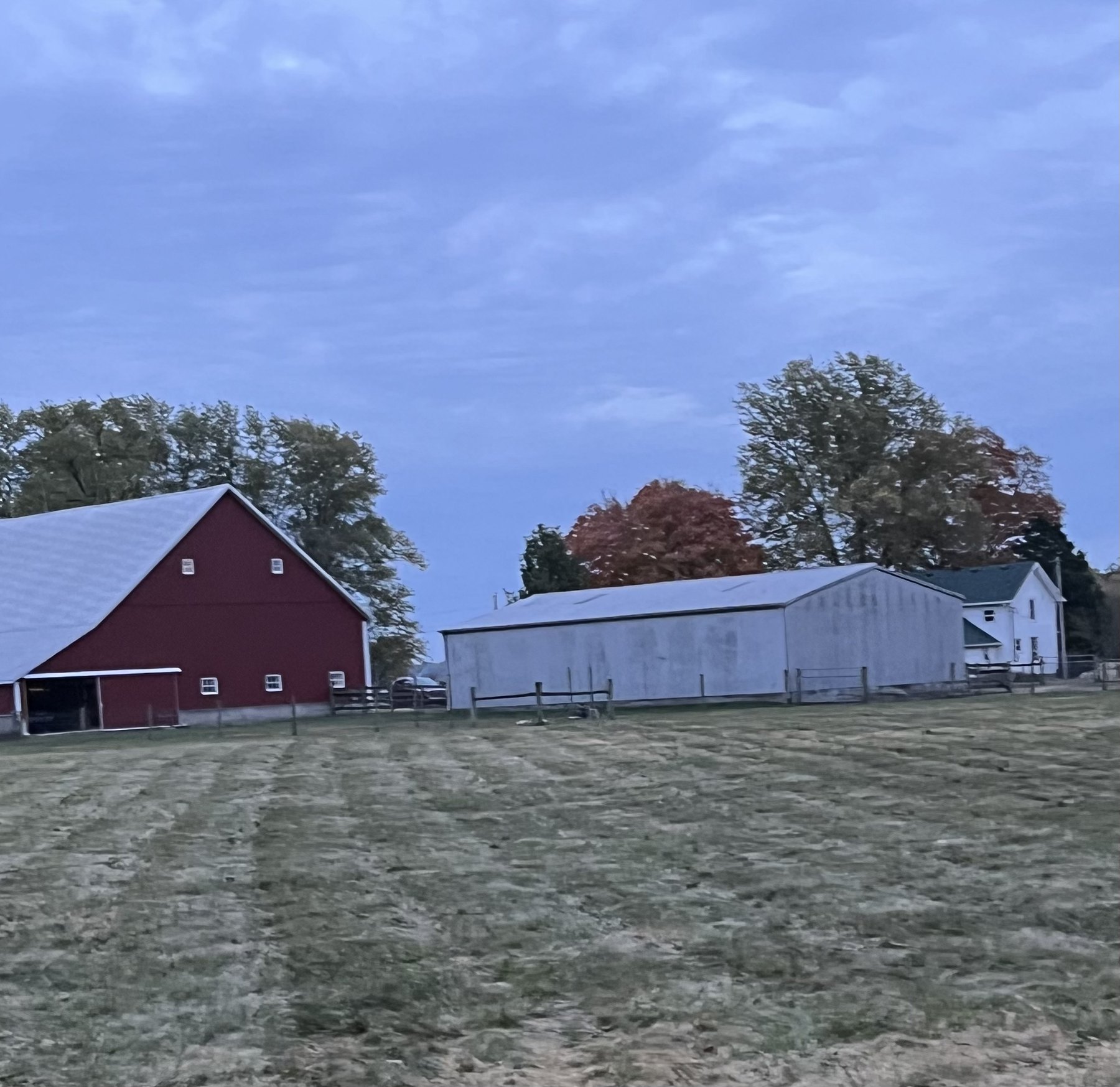 Farm photo 39