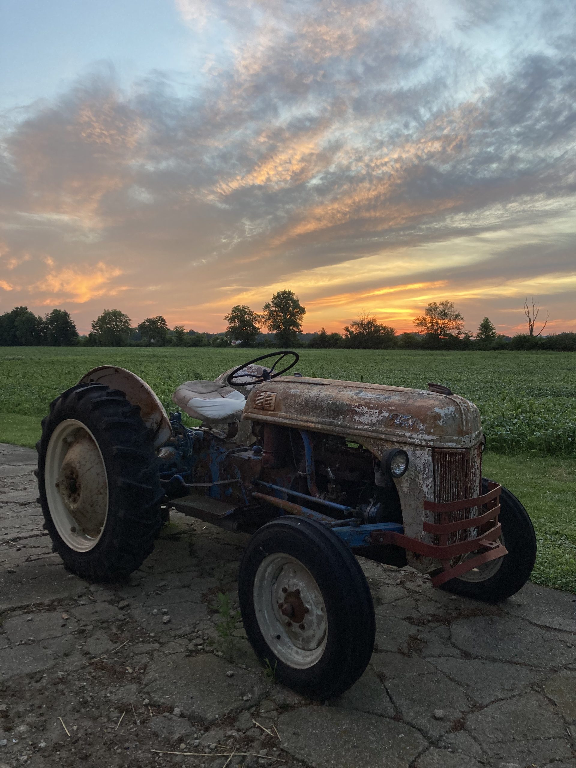 Farm photo 5