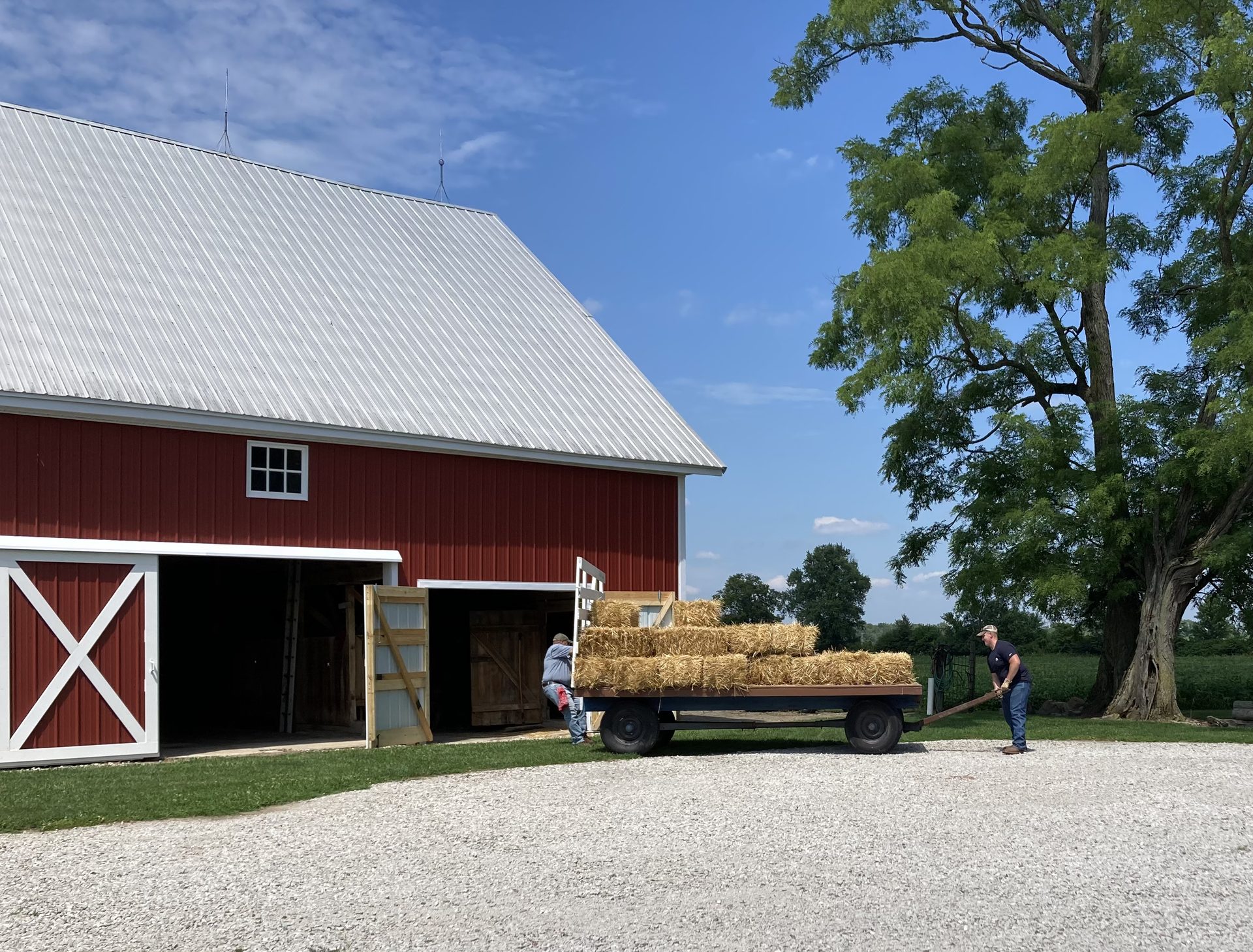 Farm photo 6