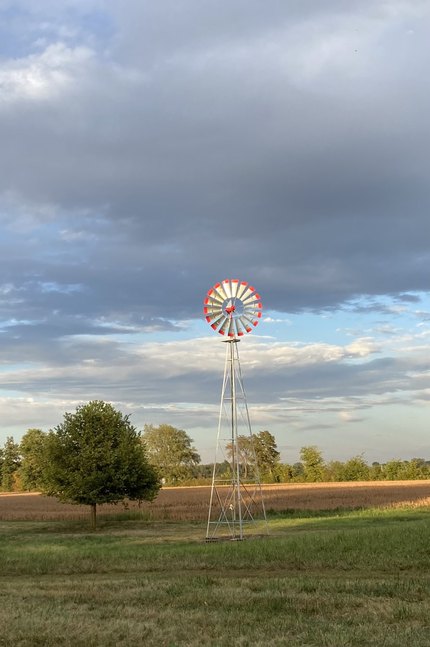 Farm photo 9